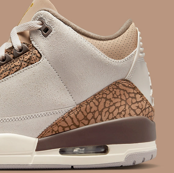 Air Jordan 3 Retro
"Palomino"