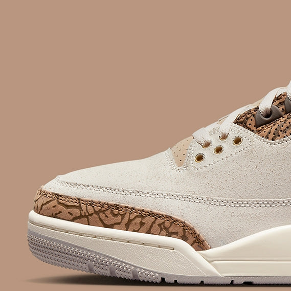 Air Jordan 3 Retro
"Palomino"