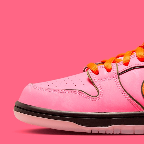 Nike Dunk Low SB - The Powerpuff Girls "Florzinha"