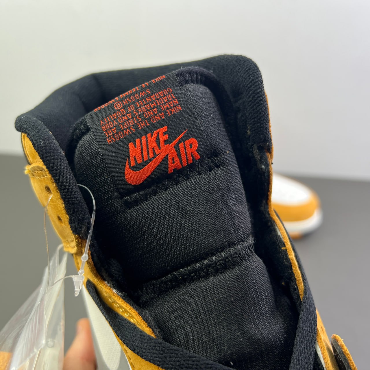 Air Jordan 1 Element GORE-TEX "Caril light"