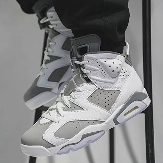 Air Jordan 6 Retro
"Cool Grey"