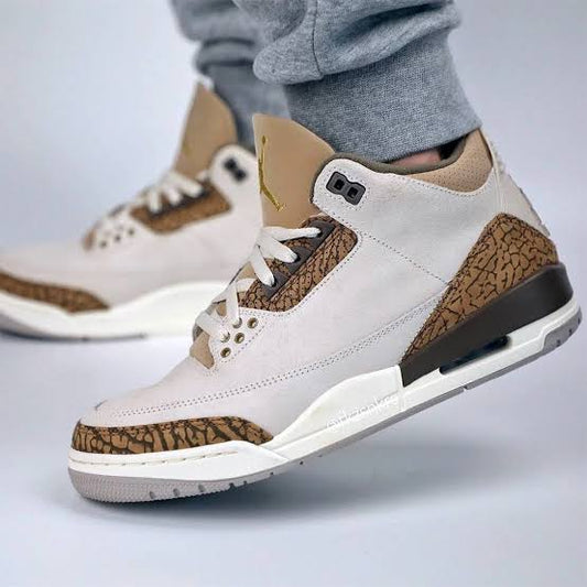 Air Jordan 3 Retro
"Palomino"