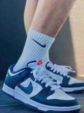 Nike Dunk Low "Valerian Blue"