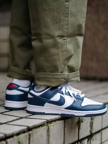 Nike Dunk Low "Valerian Blue"