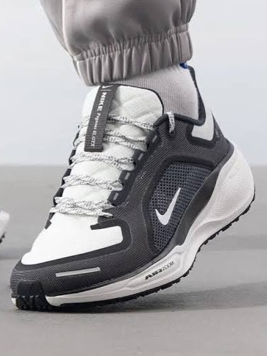 Nike Air Zoom Pegasus 41 x Gore-Tex
"Black Anthracite Iron Grey Summit White"